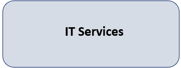 IT SERVICES